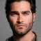 Tyler Hoechlin Photo