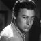 Ahmed Ramzy Photo