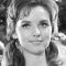 Dawn Wells Photo