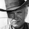 Robert J. Wilke Photo