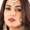 Sonal Chauhan Photo