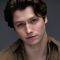 Stephen Kalyn Photo